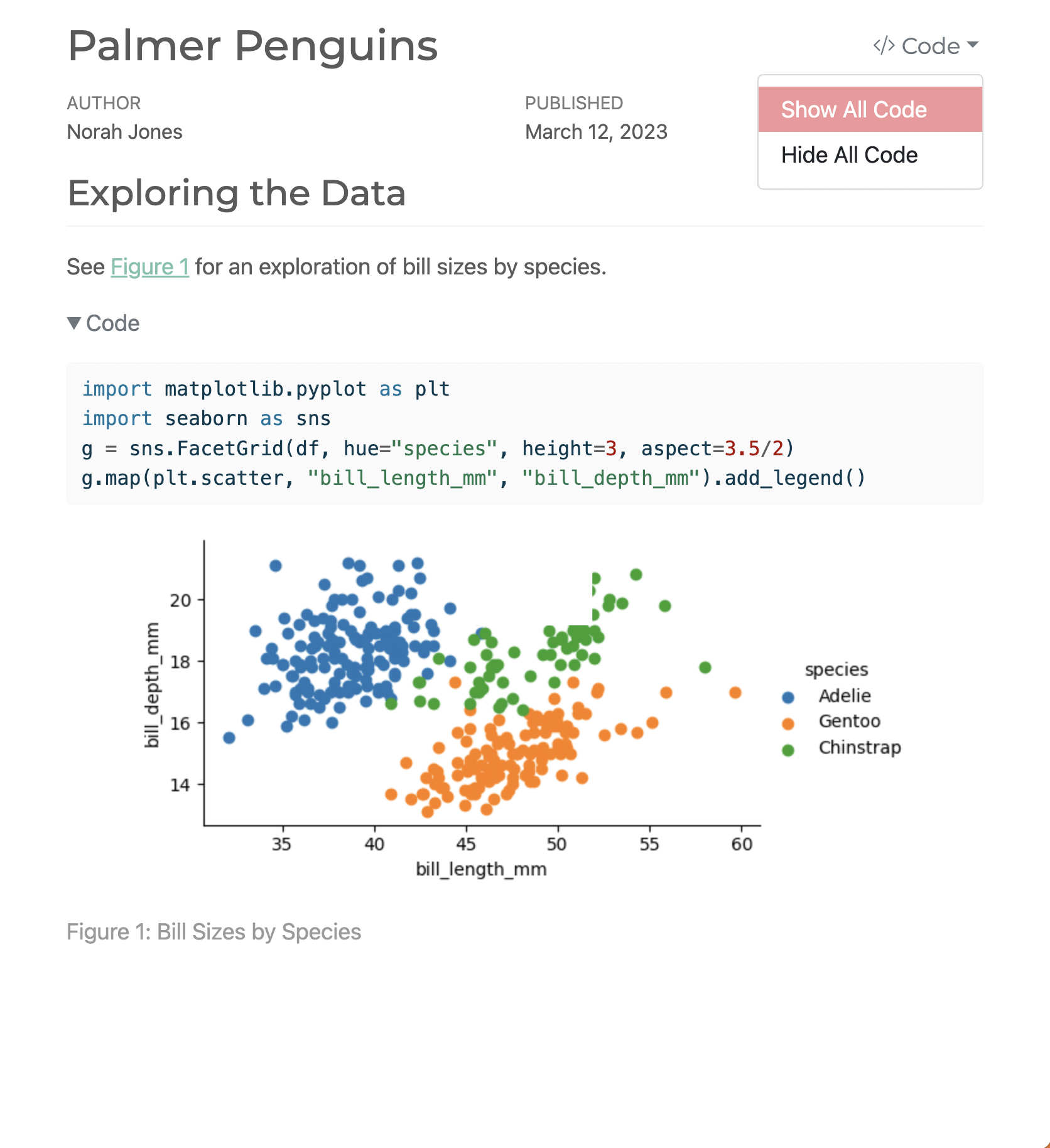 Beispielhafte Python-Projektergebnisse, die Datenanalysen und Visualisierungen zeigen.