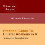 Practical Guide to Cluster Analysis in R