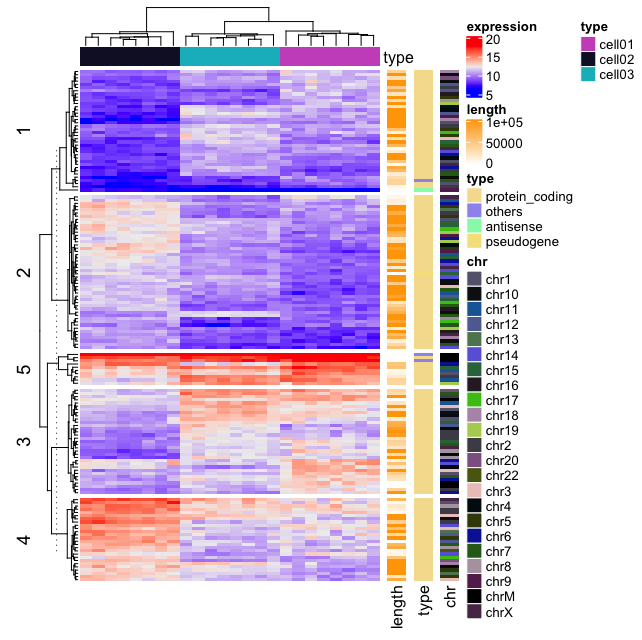 Heatmap gene expression data