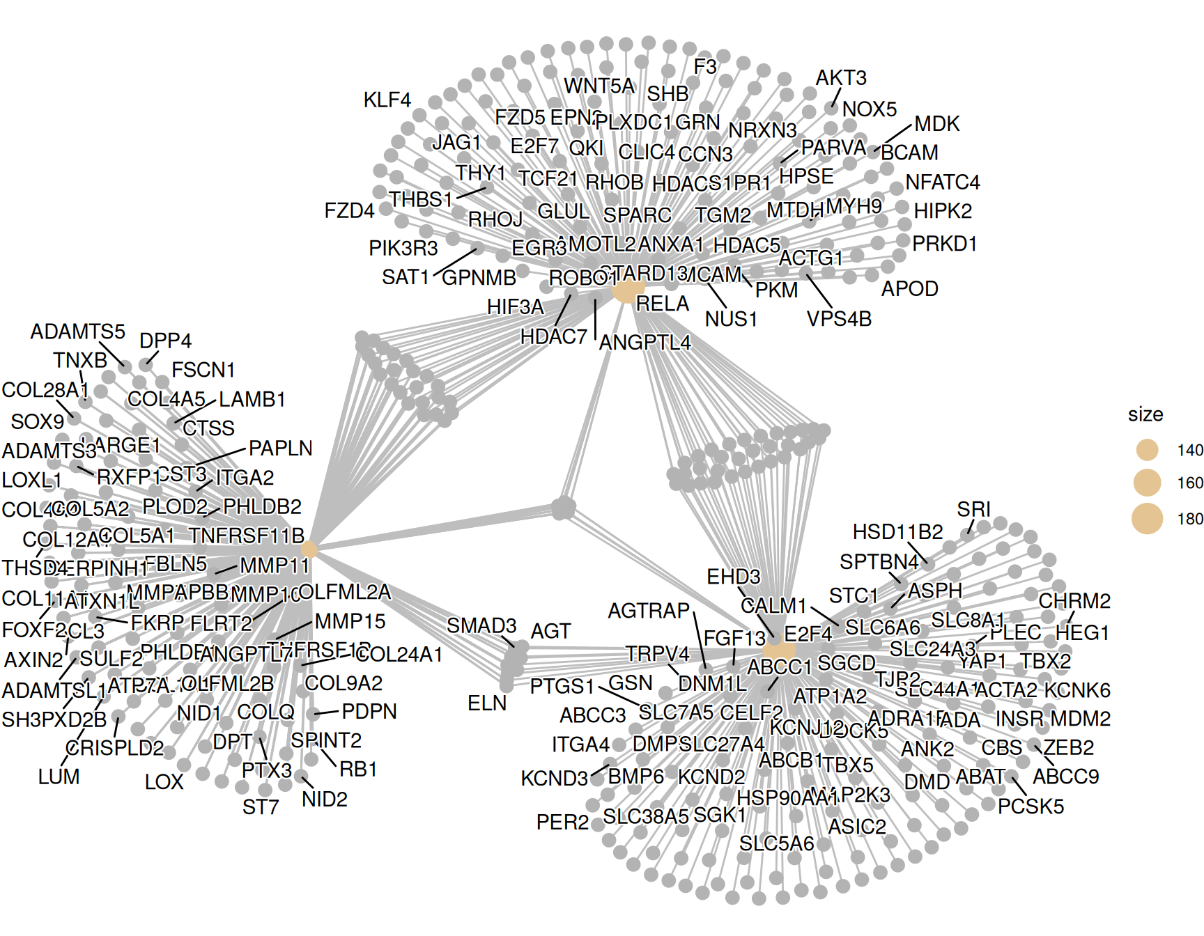 Gene-concept network of the top enriched GO terms: each term is a hub node linked to its member genes, with genes shared between terms sitting in the overlap, revealing which genes drive multiple enriched pathways.