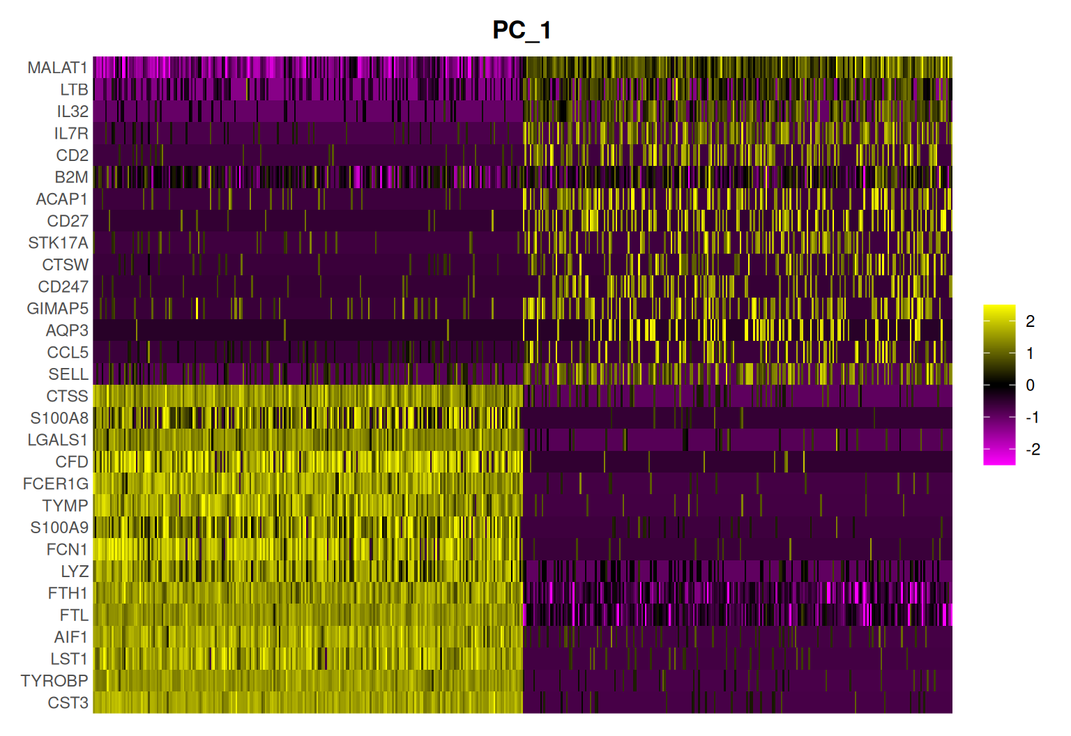 A heatmap for principal component 1 of pbmc3k. Rows are the 30 genes that load most strongly on PC1; the 500 columns are cells sorted by their PC1 score. The lower gene block (CST3, TYROBP, LST1, LYZ, FTL and other myeloid genes) is bright yellow (high) on the left-hand cells and dark purple (low) on the right; the upper block (MALAT1, LTB, IL32, IL7R, CD2 and other lymphocyte genes) shows the opposite pattern. The clean two-block split shows PC1 separating myeloid from lymphoid cells.
