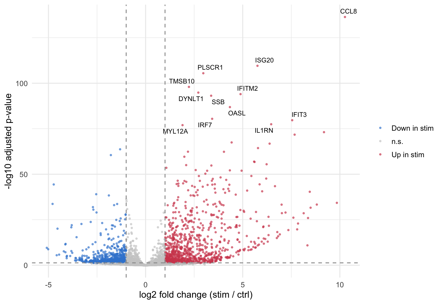 Un volcano plot du résultat DESeq2 pseudobulk des monocytes CD14+ : le changement d'expression en log2 (stimulé sur contrôle) en abscisse contre la p-value ajustée en -log10 en ordonnée. Un nuage dense de points rouges s'élève sur le côté droit — des centaines de gènes fortement en hausse dans la condition interféron-bêta — avec les gènes stimulés par l'interféron CCL8, ISG20, PLSCR1, IFITM2, OASL, IRF7, IFIT3 et IL1RN étiquetés près du sommet. Un plus petit nuage bleu de gènes sous-exprimés se situe à gauche. Des lignes en pointillés marquent les seuils de changement d'expression et de significativité.