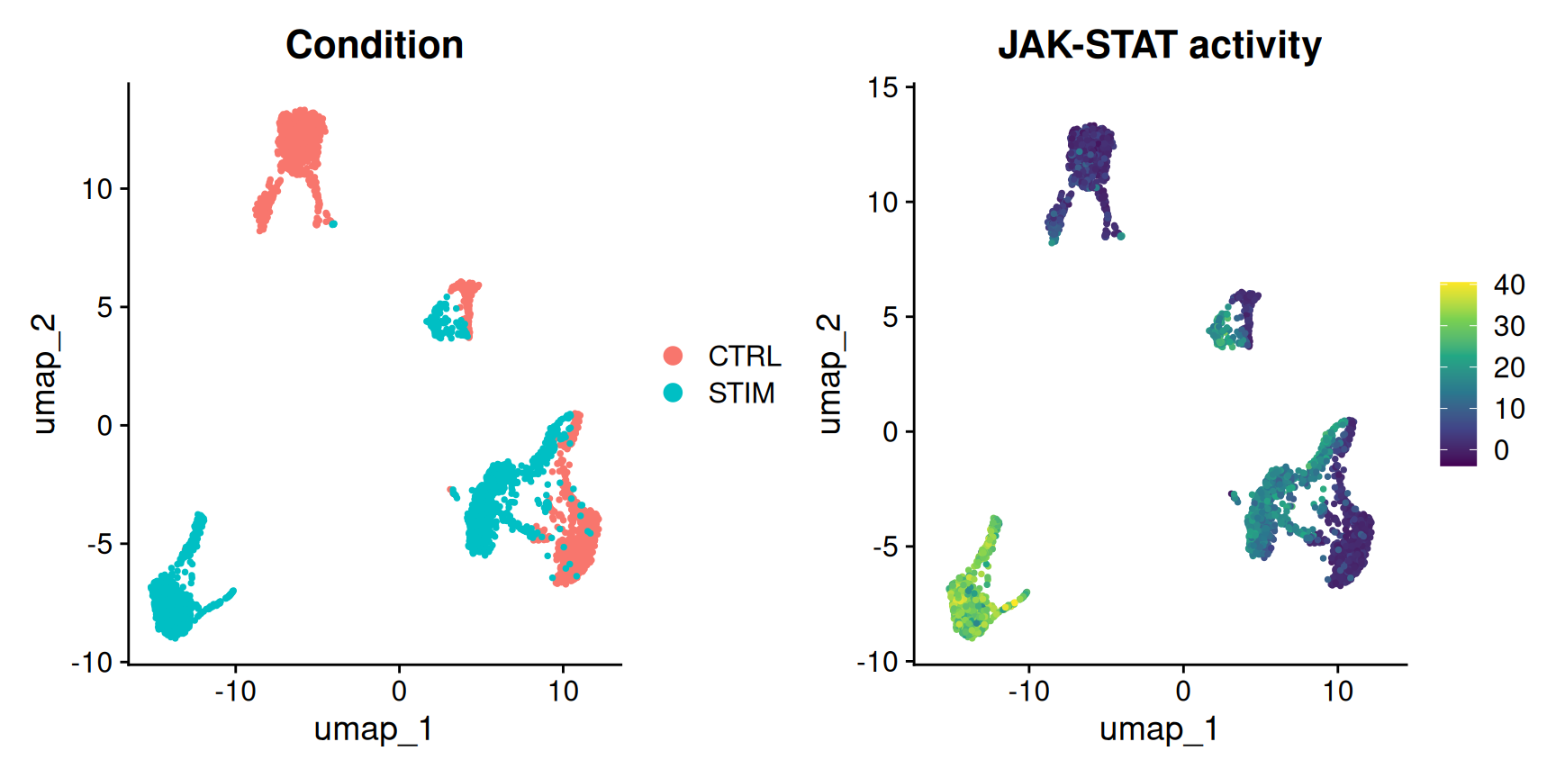 Two side-by-side UMAP embeddings of the 3,000 PBMCs. The left panel colours cells by condition, control versus IFN-beta-stimulated, which separate into two offset clouds. The right panel colours the same cells by their JAK-STAT pathway activity on a viridis scale: the stimulated cloud is bright yellow (high JAK-STAT) and the control cloud is dark purple (low), so the pathway-activity map mirrors the condition map almost exactly.