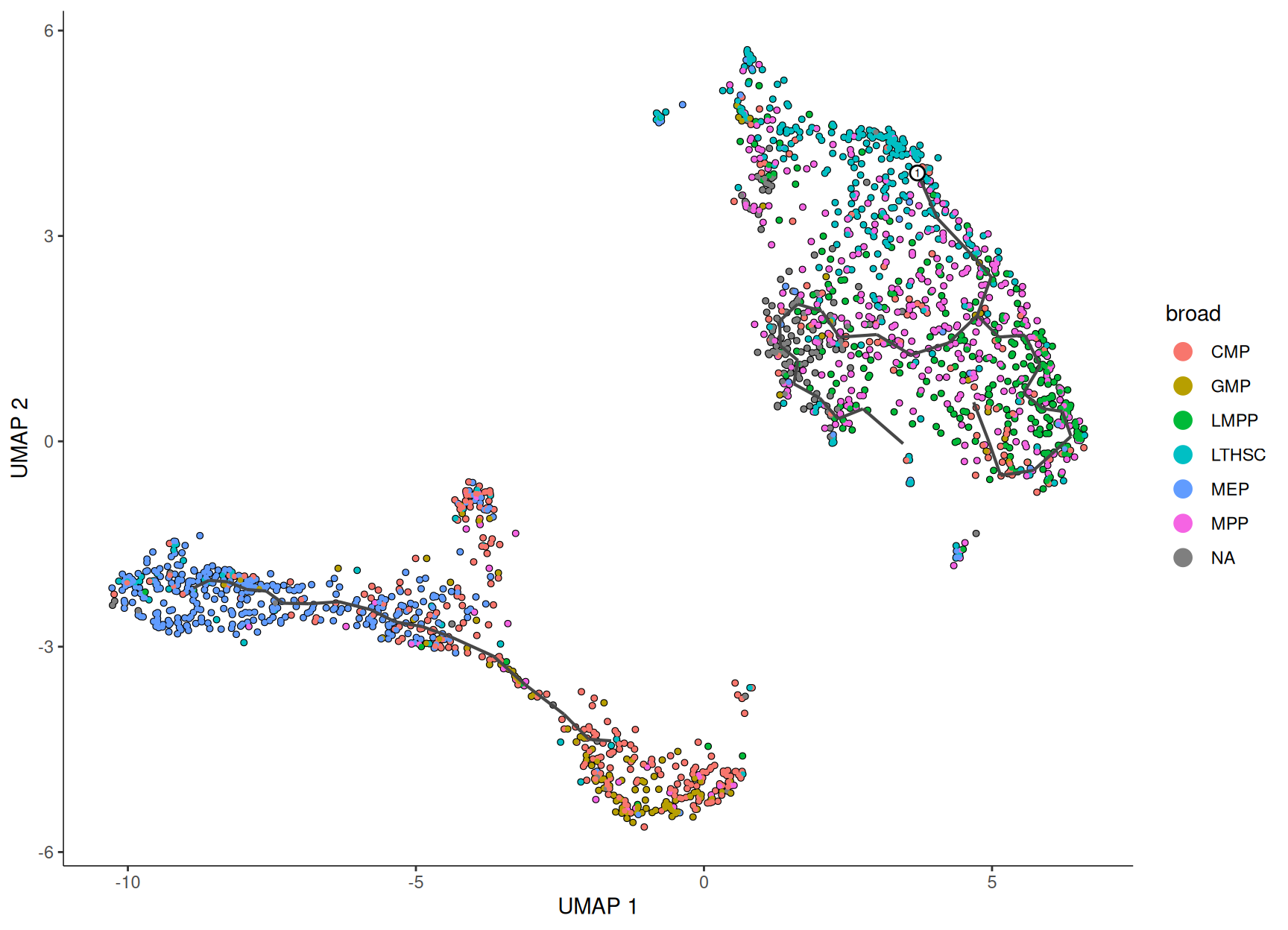 The same UMAP and Monocle3 principal graph, now with cells coloured by their FACS sorted population — LT-HSC, MPP, LMPP, CMP, GMP, MEP, and unlabelled. The region where the graph is rooted is dominated by LT-HSC stem cells, and the committed progenitor populations sit toward the ends of the graph, confirming the trajectory runs from stem cell to committed fate. The disconnected partition holds a distinct mix of populations.
