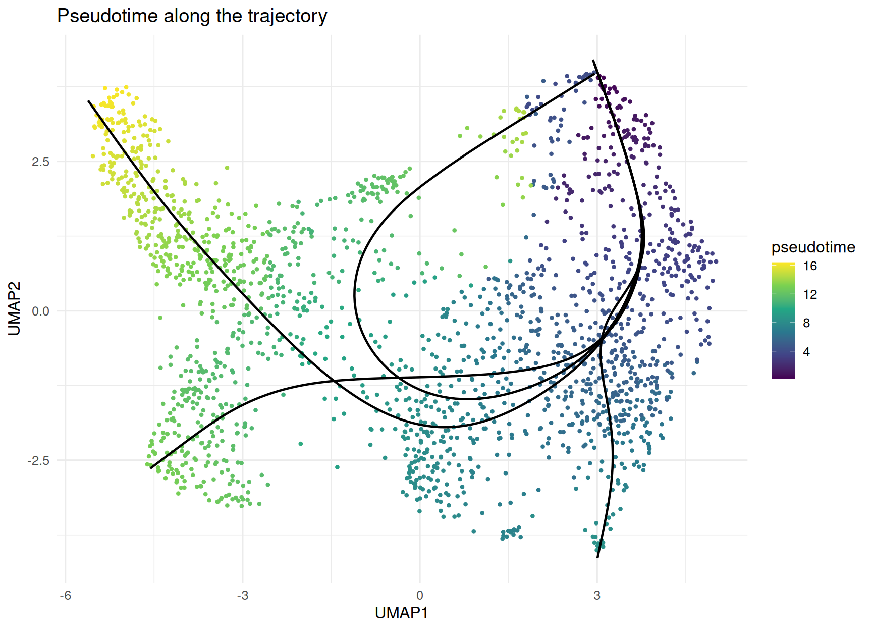The same UMAP of blood stem and progenitor cells, now coloured by pseudotime on a dark-to-bright viridis scale, with the four Slingshot lineage curves overlaid in black. The stem-cell root region is dark (low pseudotime) and the colour brightens smoothly outward along every branch to the committed-progenitor tips (high pseudotime), showing a continuous differentiation gradient rather than discrete steps.