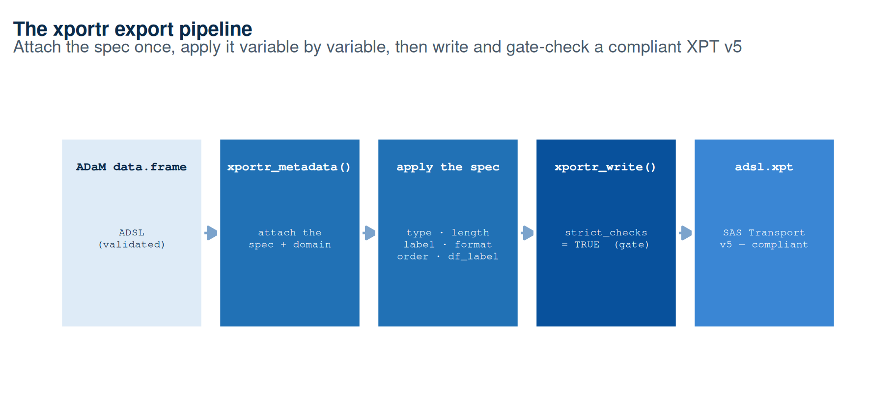 A left-to-right flow schematic of the xportr export pipeline in five boxes joined by arrows. Box 1 (light blue): an ADaM data.frame, labelled ADSL (validated). Box 2 (mid blue): xportr_metadata(), attach the spec plus domain. Box 3 (mid blue): apply the spec, listing the six step functions type, length, label, format, order, df_label. Box 4 (dark navy): xportr_write() with strict_checks = TRUE, marked as the gate. Box 5 (brand azure): adsl.xpt, a SAS Transport version-5 file that is compliant. The visual point is that one metadata spec is attached once, applied variable by variable, then written and gate-checked into a compliant transport file.