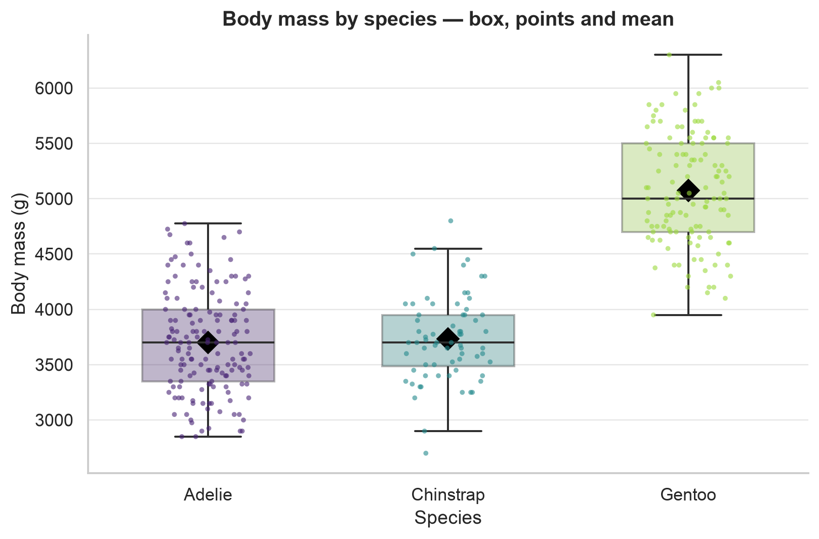 Box plot of penguin body mass in grams for three species, coloured Adelie purple, Chinstrap teal and Gentoo green, with the raw observations jittered as small points over each box and a black diamond marking each group mean. Adelie and Chinstrap overlap near 3700 grams while Gentoo stand clearly higher near 5000 grams; the mean sits almost on the median for Adelie and Chinstrap and slightly above it for Gentoo.