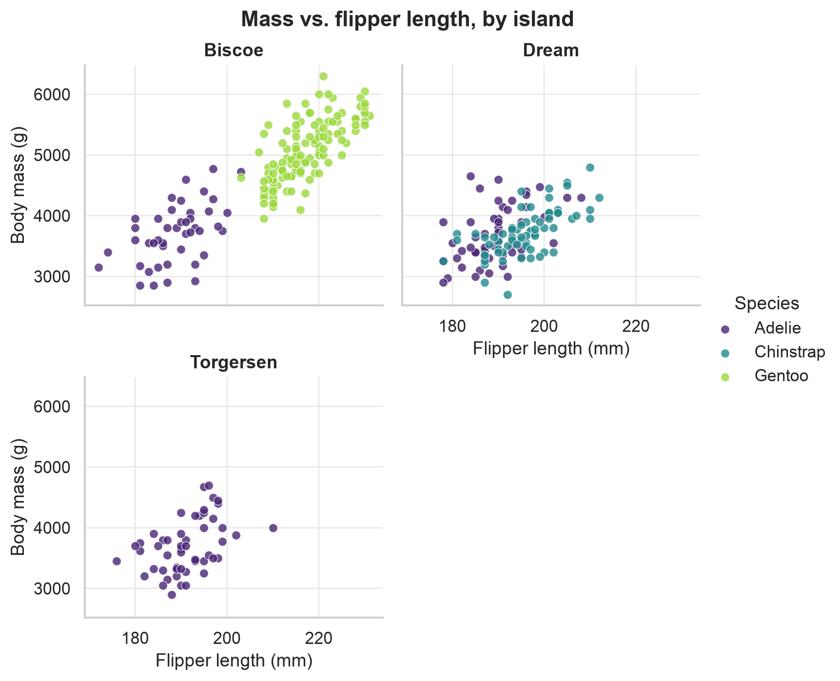 A FacetGrid of flipper length against body mass, one scatter panel per island, wrapped two per row so Biscoe and Dream sit on top and Torgersen alone below. Points are coloured by species. Biscoe holds all the Gentoo plus some Adelie, Dream holds all the Chinstrap plus Adelie, and Torgersen holds only Adelie. Body mass rises with flipper length in every panel.