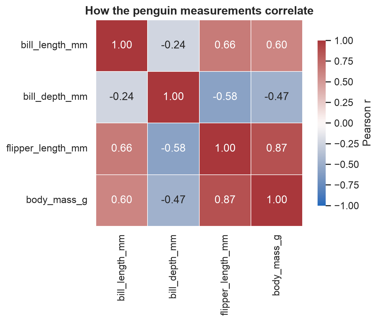 A four-by-four correlation heatmap of penguin bill length, bill depth, flipper length and body mass on a blue-to-red diverging scale centred at zero, every cell annotated with its correlation. The diagonal is deep red at 1.00. Flipper length and body mass are deep red at 0.87; bill depth is blue and negative against the other three measurements, deepest against flipper length at minus 0.58.