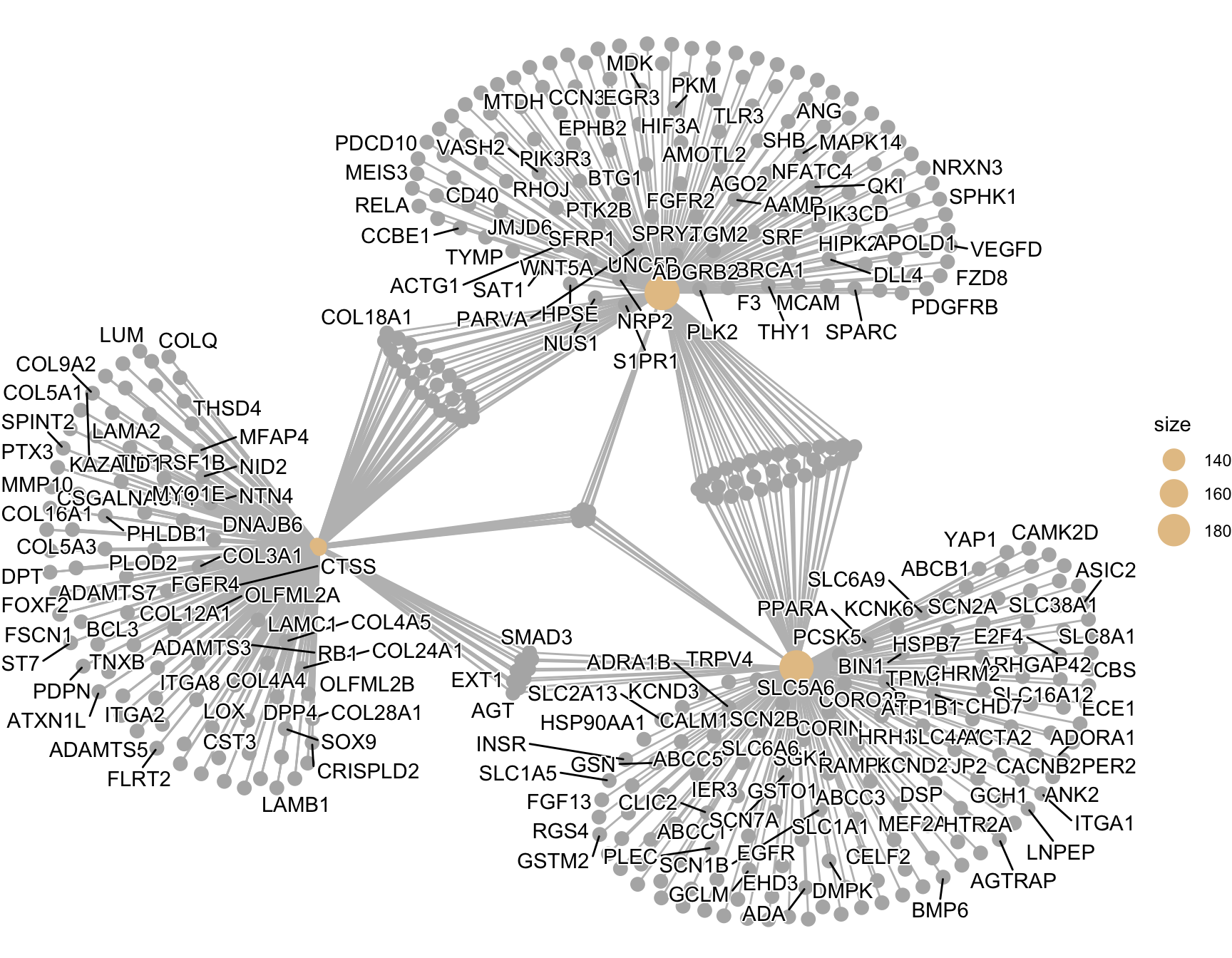 Gene-concept network of the top enriched GO terms: each term is a hub node linked to its member genes, with genes shared between terms sitting in the overlap, revealing which genes drive multiple enriched pathways.