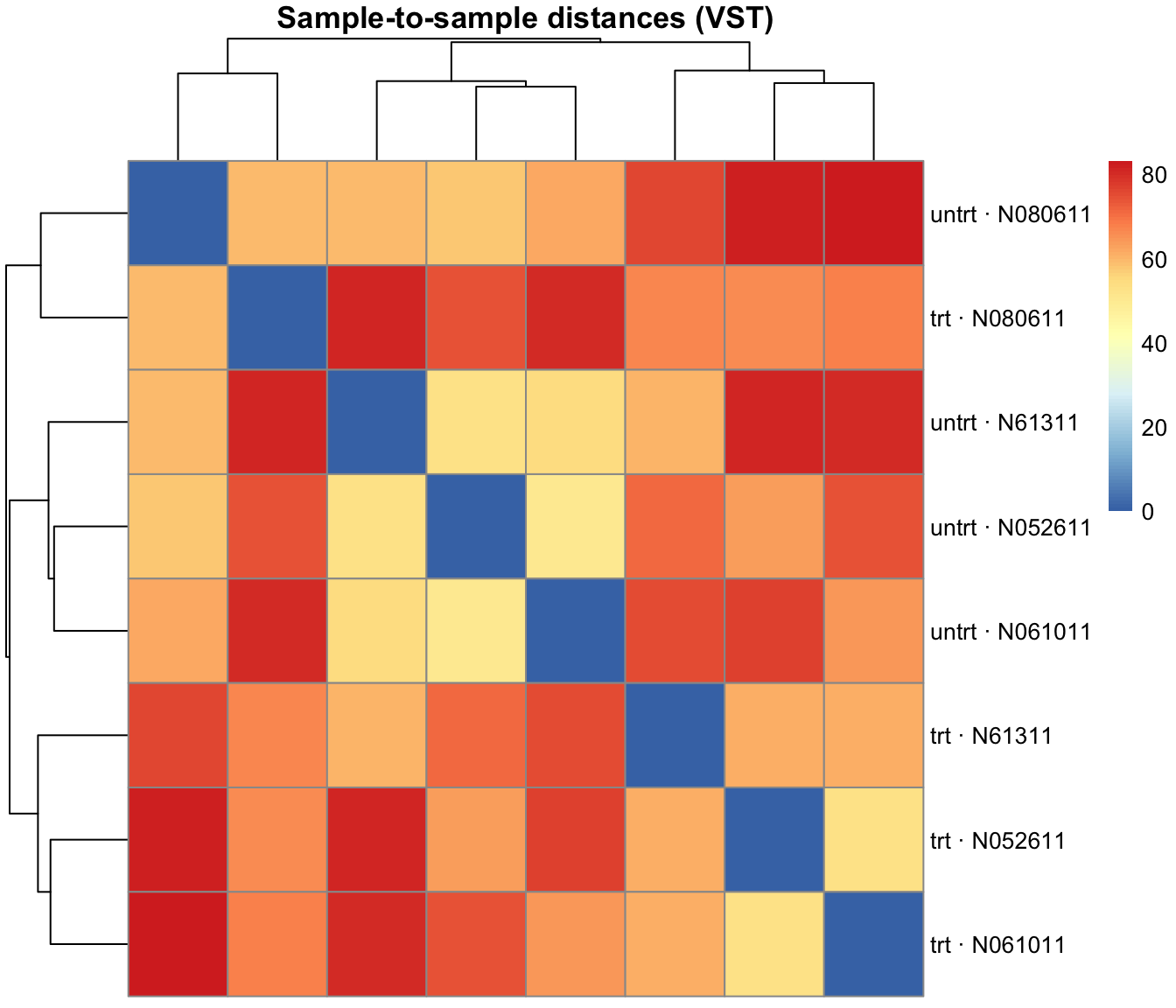 Heatmap of sample-to-sample distances on the variance-stabilized counts, with samples hierarchically clustered on both axes. Darker cells are more similar; one donor's two samples (N080611) cluster together and split off from the rest first, while treatment drives the split among the remaining samples.