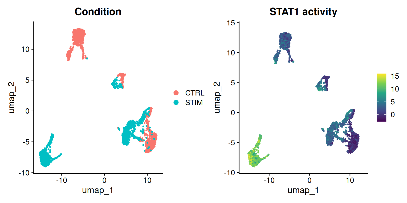 Two side-by-side UMAP embeddings of the 3,000 PBMCs. The left panel colours cells by condition, control versus IFN-beta-stimulated, which separate into two offset clouds. The right panel colours the same cells by their STAT1 transcription-factor activity on a viridis scale: the stimulated cloud is bright yellow (high STAT1 activity) and the control cloud is dark purple (low), so the TF-activity map mirrors the condition map almost exactly.