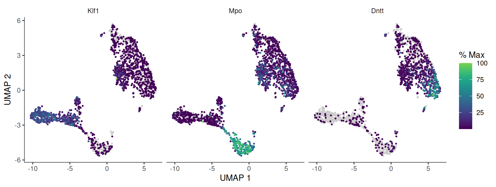 A three-panel plot, one UMAP per gene, with cells coloured by expression. Klf1 (erythroid) lights up in one arm of the graph; Mpo (myeloid) lights up in a different arm; Dntt (lymphoid) lights up in a third region. Each fate marker is high in its own part of the trajectory and low elsewhere, showing the graph separates the committing blood lineages.