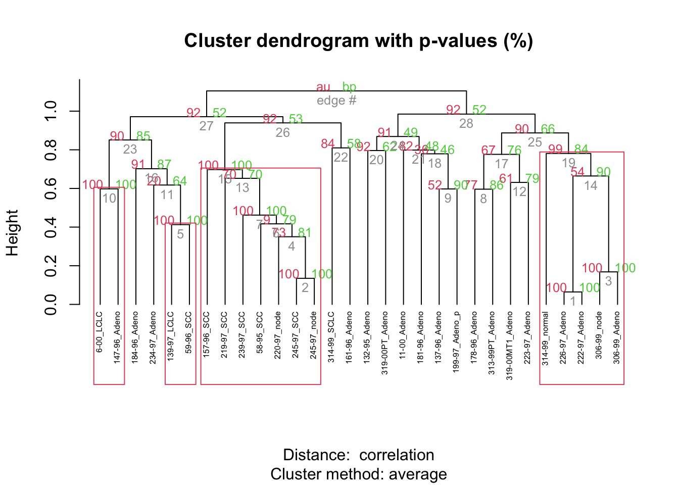 A hierarchical-clustering dendrogram with red AU and green BP p-values printed at every branch, and rectangles drawn around the clusters with AU at or above 95%.